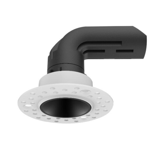 ARCHED-12w-02