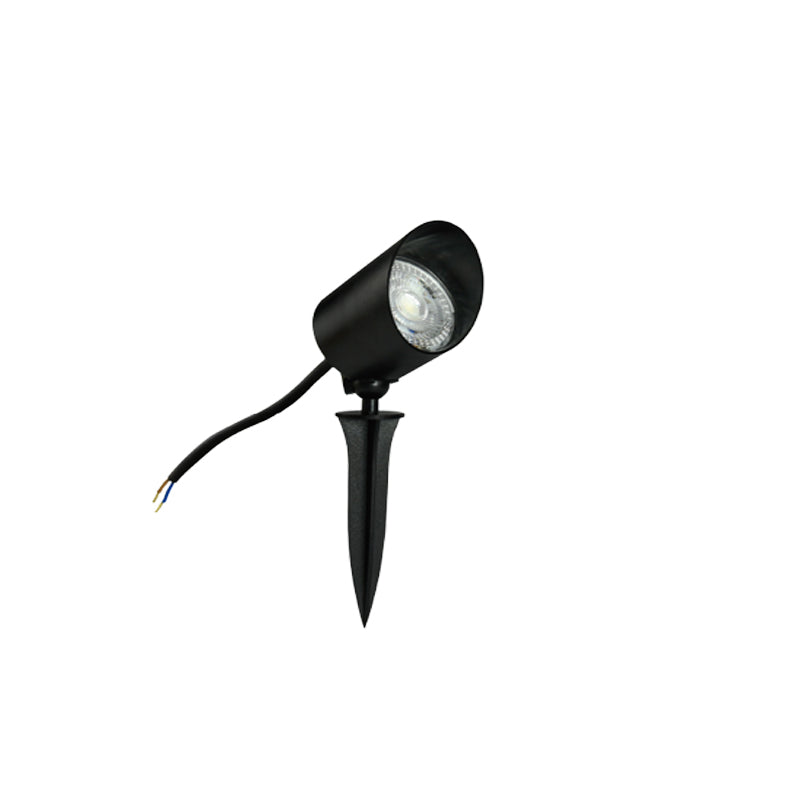 SCOUT-6w